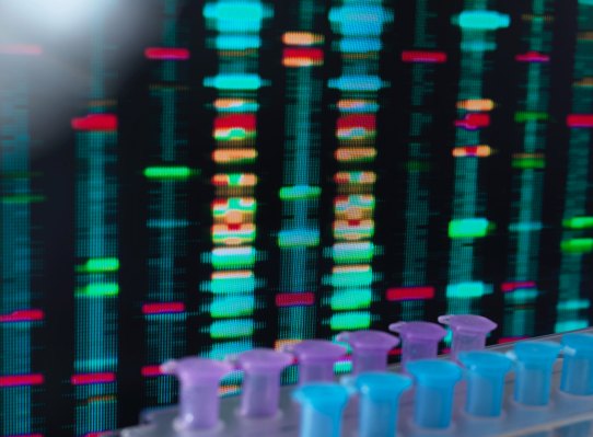 Ancestry lays off 6% of staff as consumer genetic testing market continues to decline