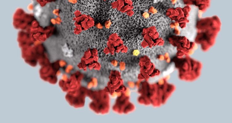 FDA allows new diagnostic technologies to test for coronavirus before receiving emergency approvals