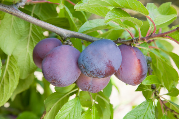 Leanplum raises another $27M, shakes up its executive ranks