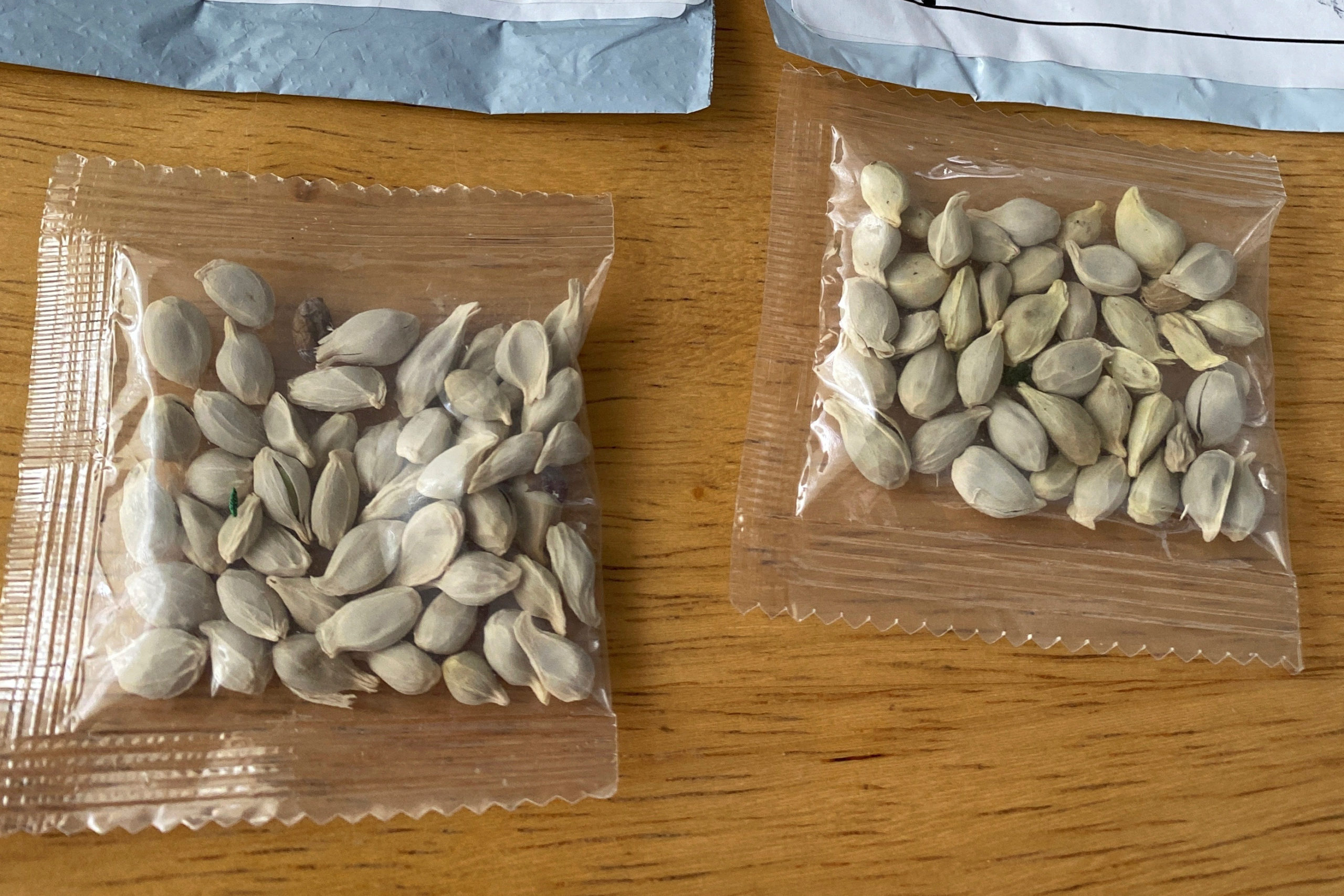 Amazon Bans Foreign Sales Of Plants In Us After Mysterious Seed Deliveries Wilson S Media