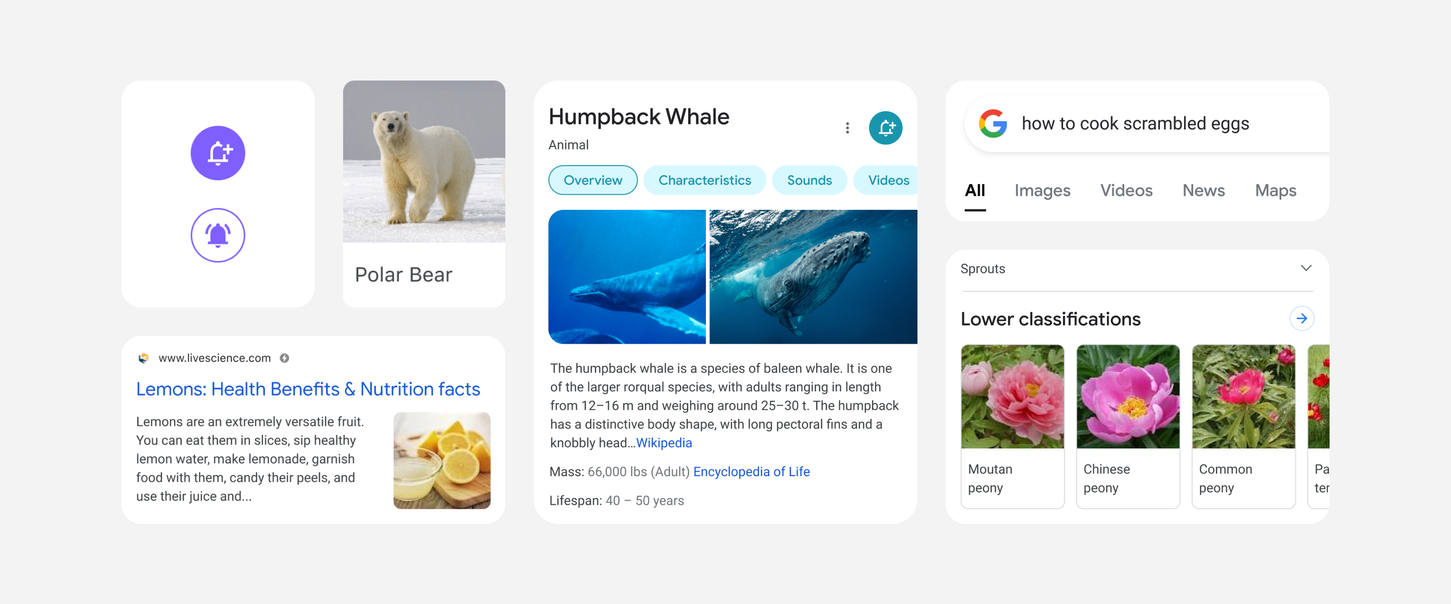 Google refreshes its mobile search experience