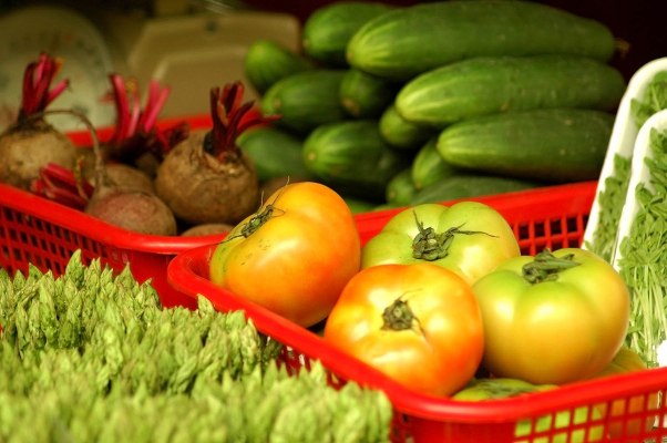 Oviva grabs $80M for app-delivered healthy eating programs