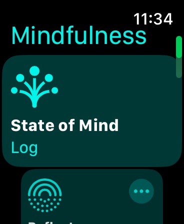 How to track your moods in watchOS 10