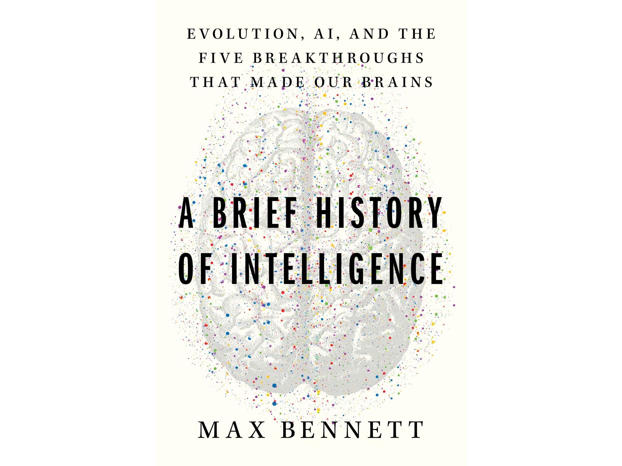 What the evolution of our own brains can tell us about the future of AI