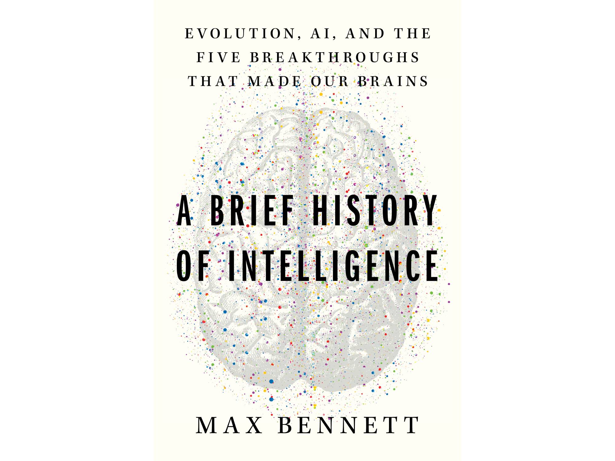What the evolution of our own brains can tell us about the future of AI