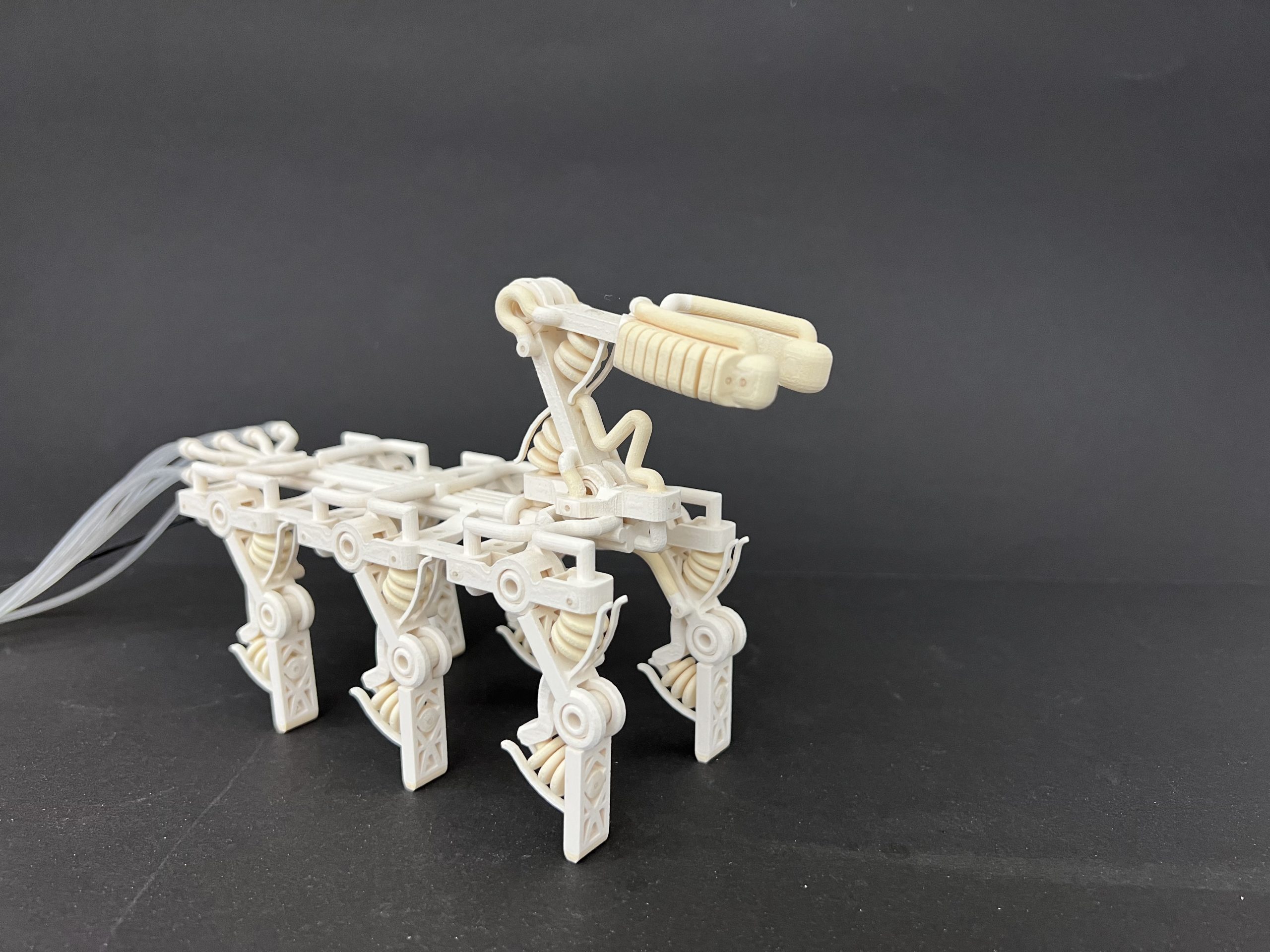 Researchers printed a robotic hand with bones, ligaments and tendons for the first time